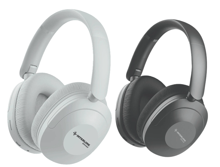 Vision Pro Headphones Model I-258
